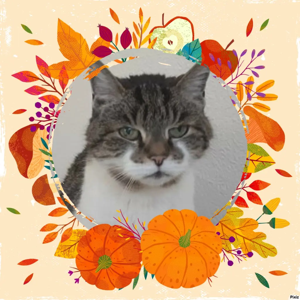 Condolence image of Tanja mit Timmy im Herzen