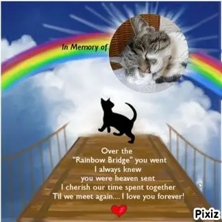 Condolence image of Tanja mit Timmy im Herzen
