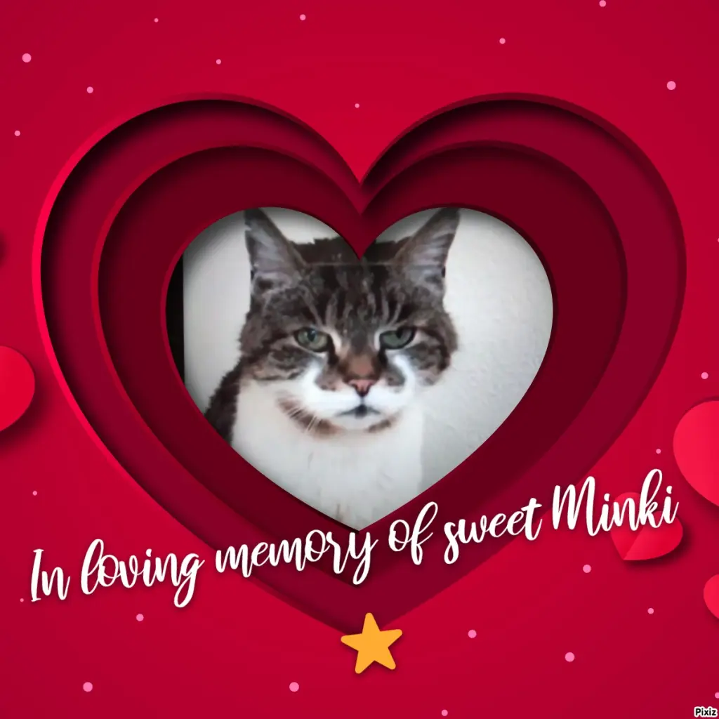 Condolence image of Für Dich kleines Sternchen Minki♥️