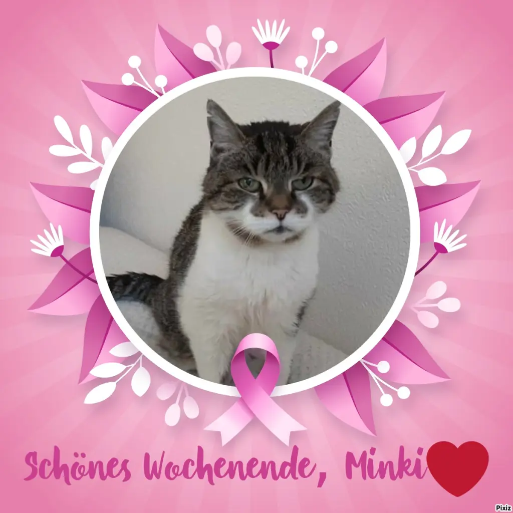 Condolence image of Tanja mit Timmy im Herzen