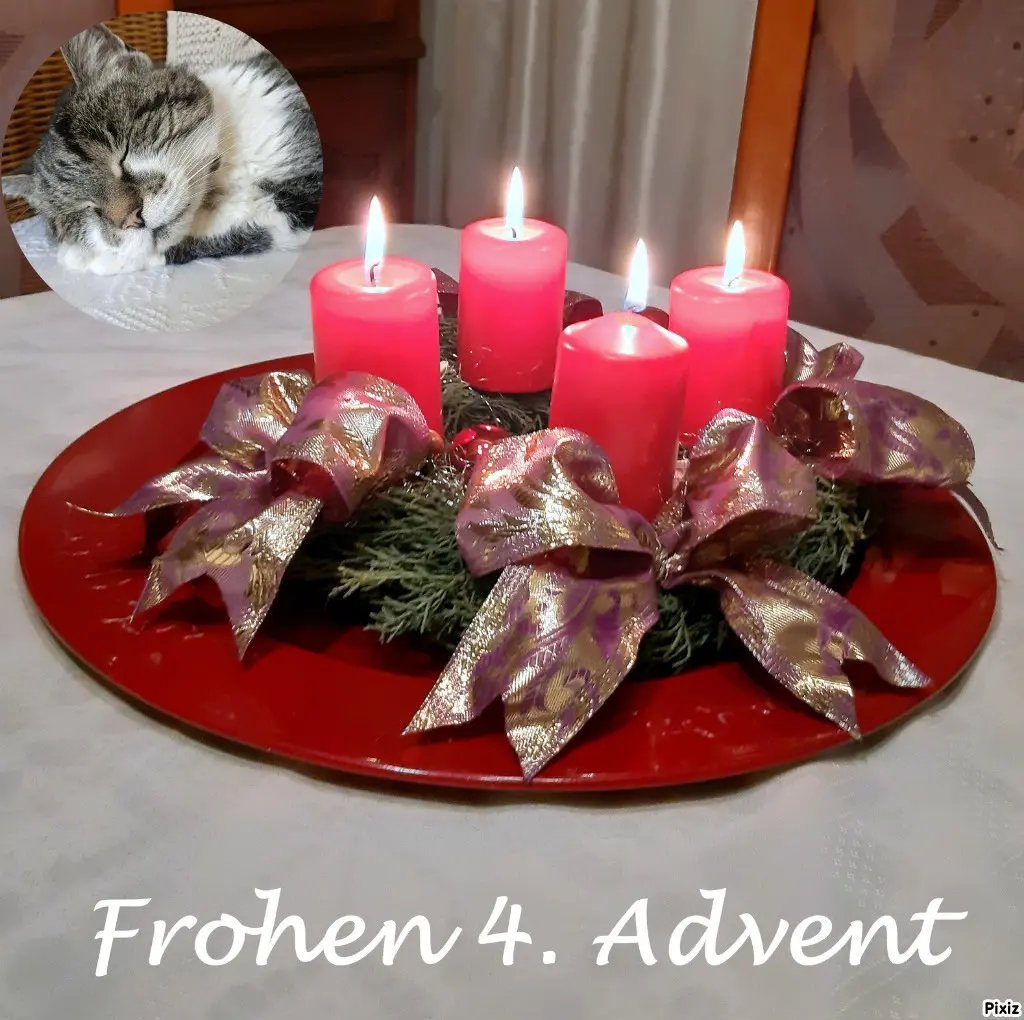 Condolence image of Tanja mit Timmy im Herzen