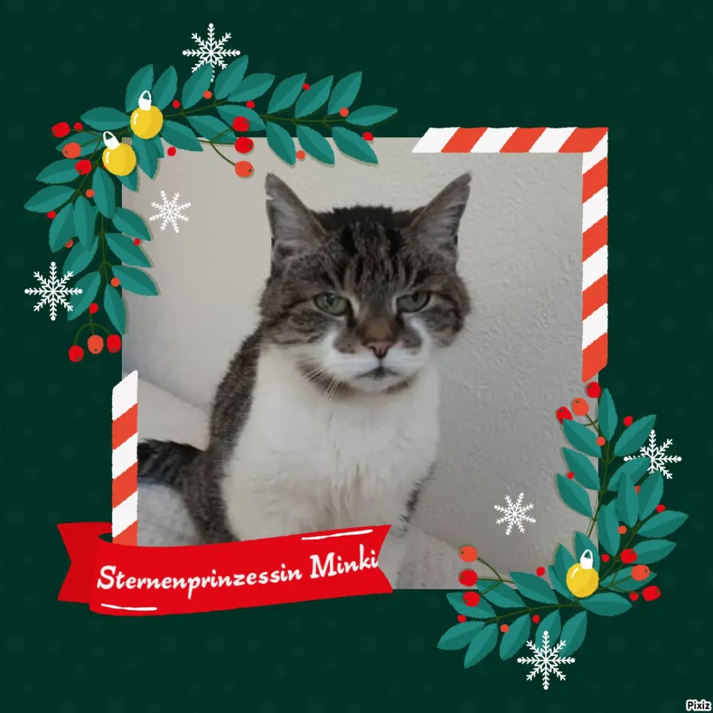 Condolence image of Tanja mit Timmy im Herzen