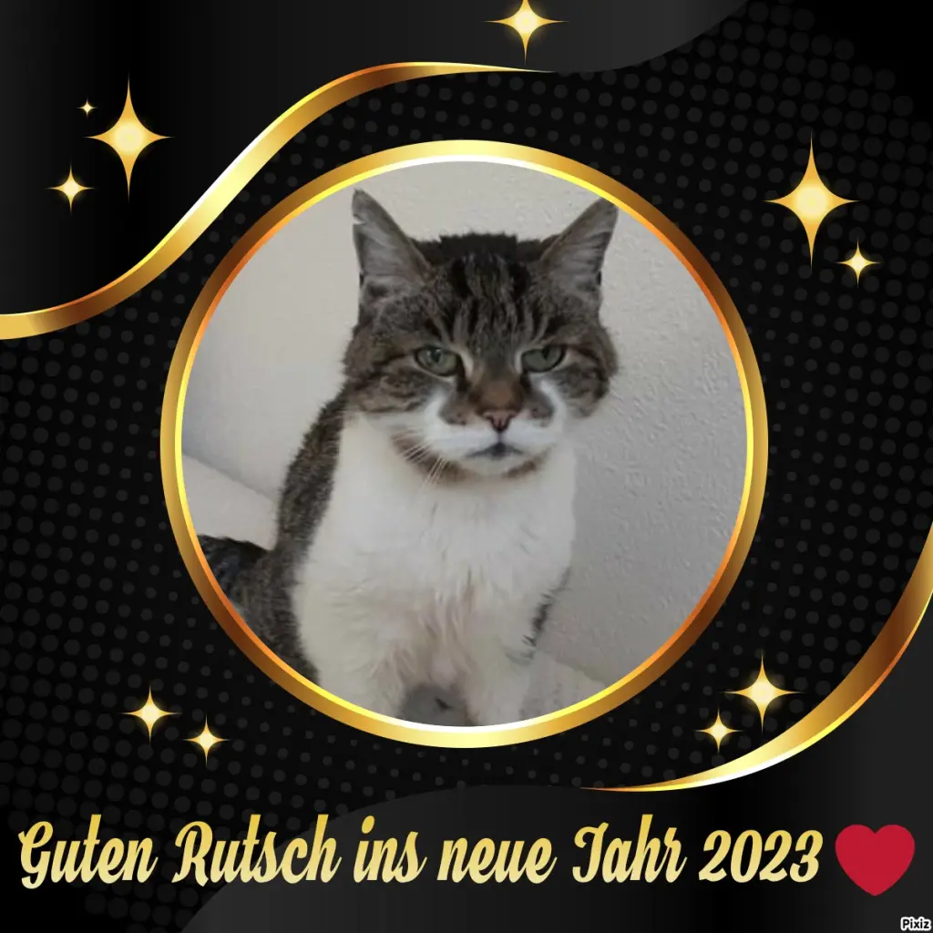 Condolence image of Tanja mit Timmy im Herzen
