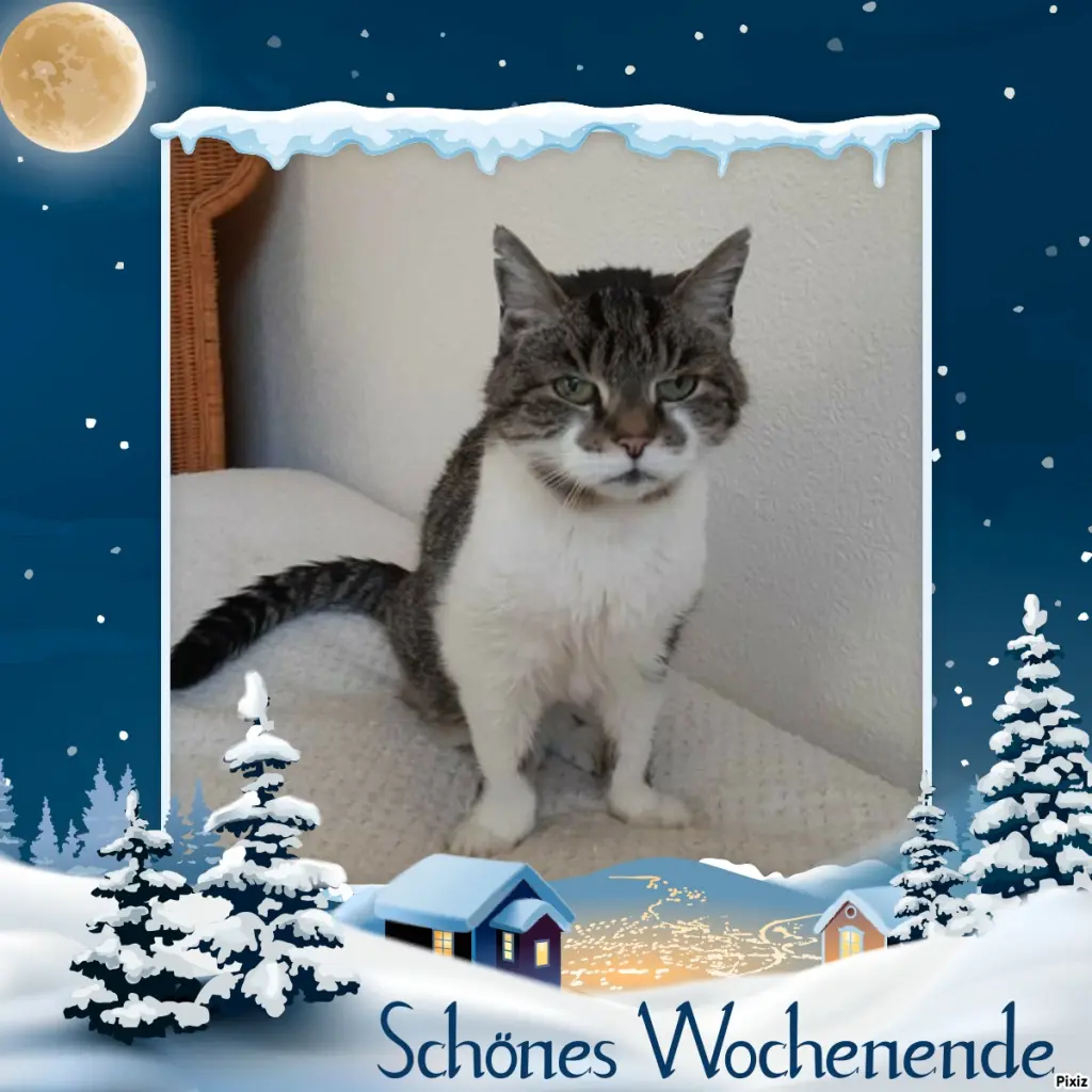 Condolence image of Tanja mit Timmy im Herzen