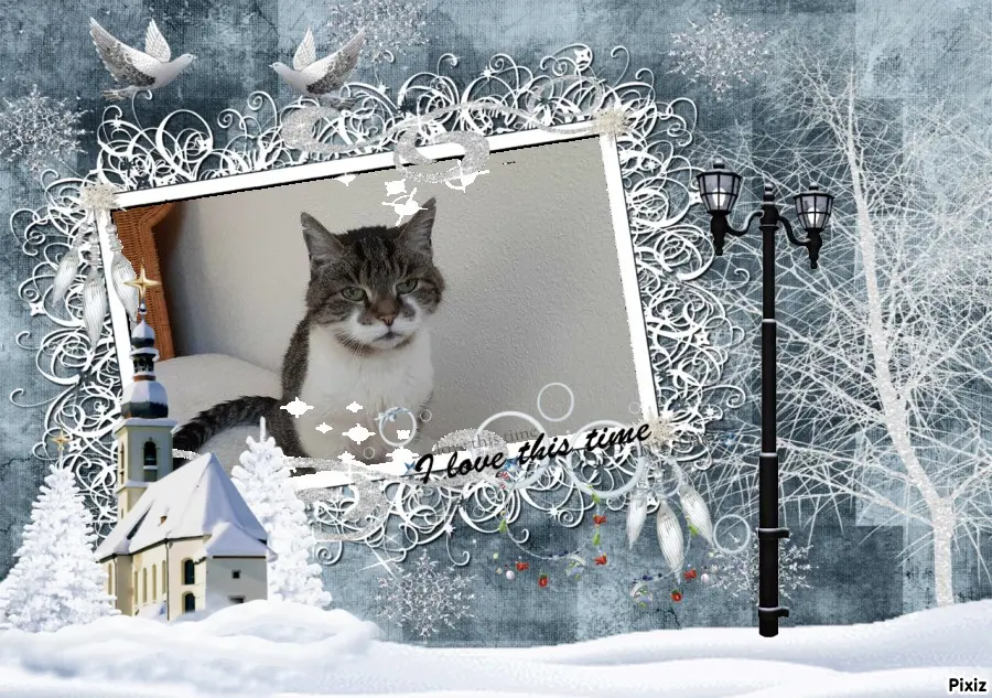 Condolence image of Tanja mit Timmy im Herzen