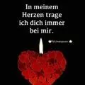 Condolence image of Snoopy ❤Pünktchen