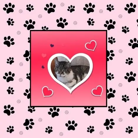 Condolence image of Sonntags❤️Rosen❤️❤️❤️❤️❤️❤️