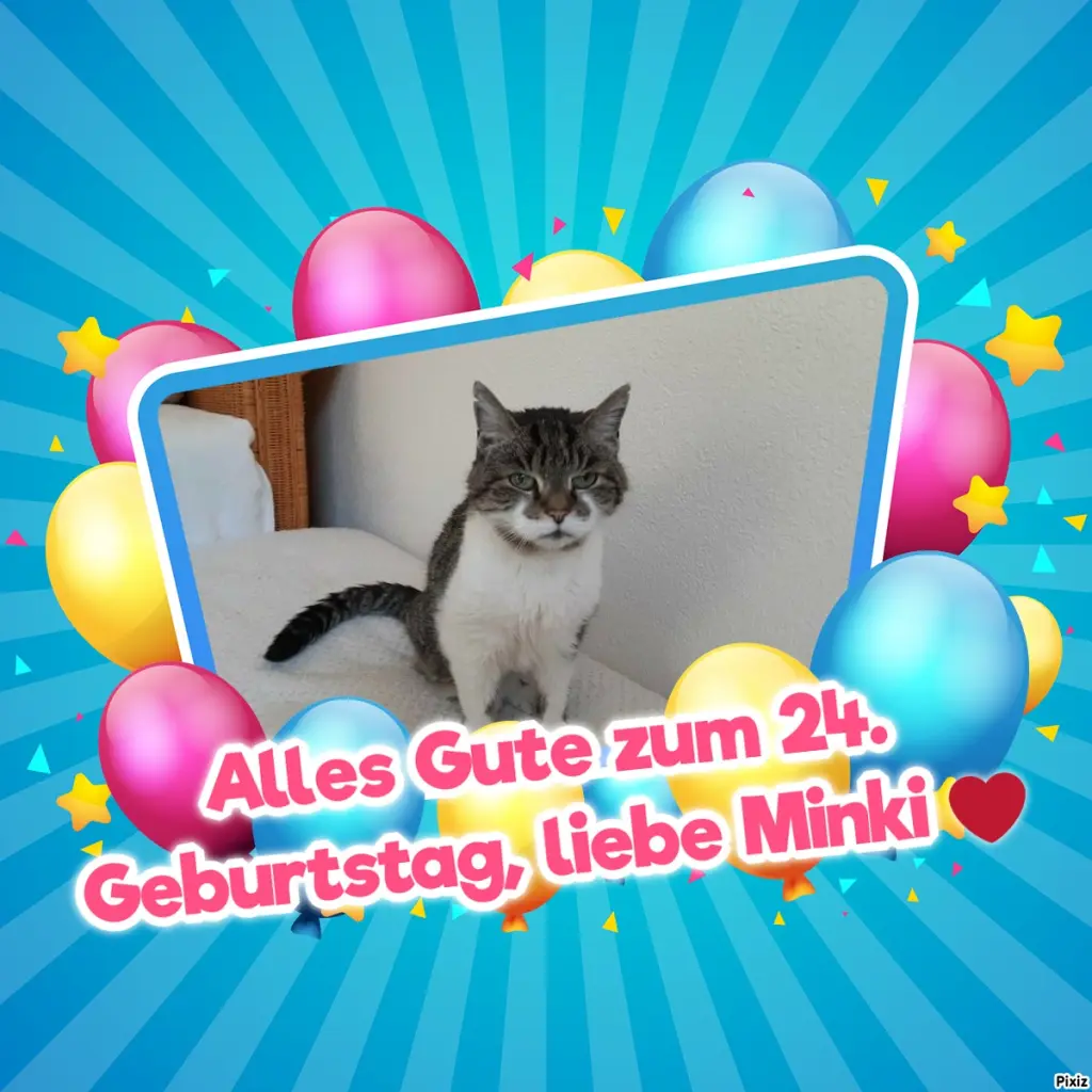 Condolence image of Tanja mit Timmy im Herzen