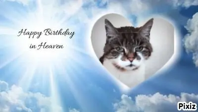 Condolence image of Für Dich kleines Geburtstagssternchen Minki♥️