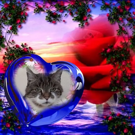 Condolence image of ❤️❤️❤️❤️❤️❤️❤️❤️❤️❤️❤️❤️