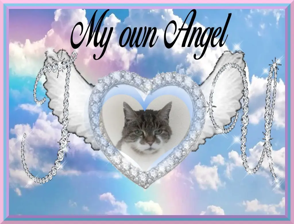 Condolence image of 3. Sternchen❤️❤️❤️Gedenktag❤️❤️❤️