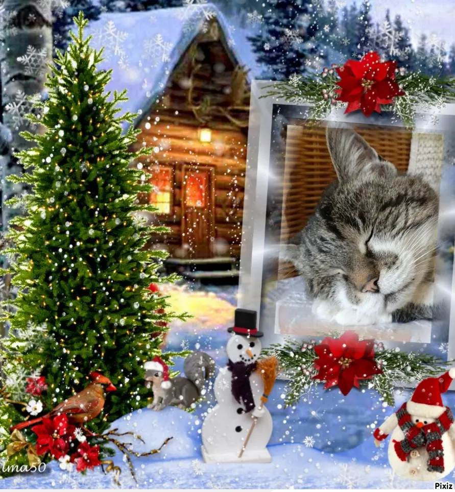 Condolence image of Tanja mit Timmy im Herzen