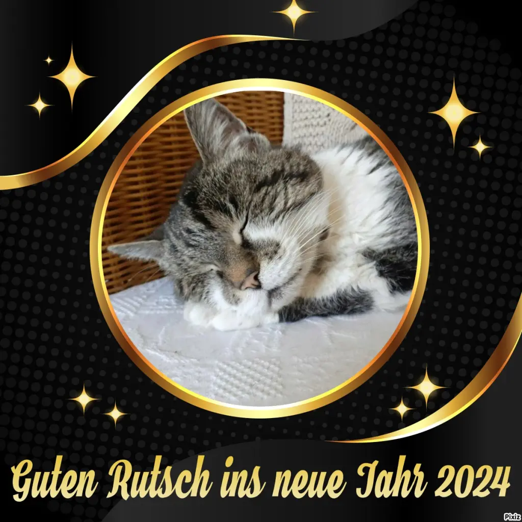 Condolence image of Tanja mit Timmy im Herzen 