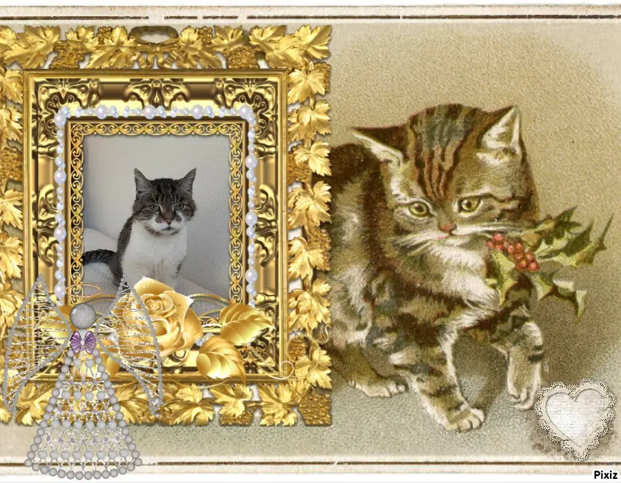 Condolence image of Tanja mit Timmy im Herzen 