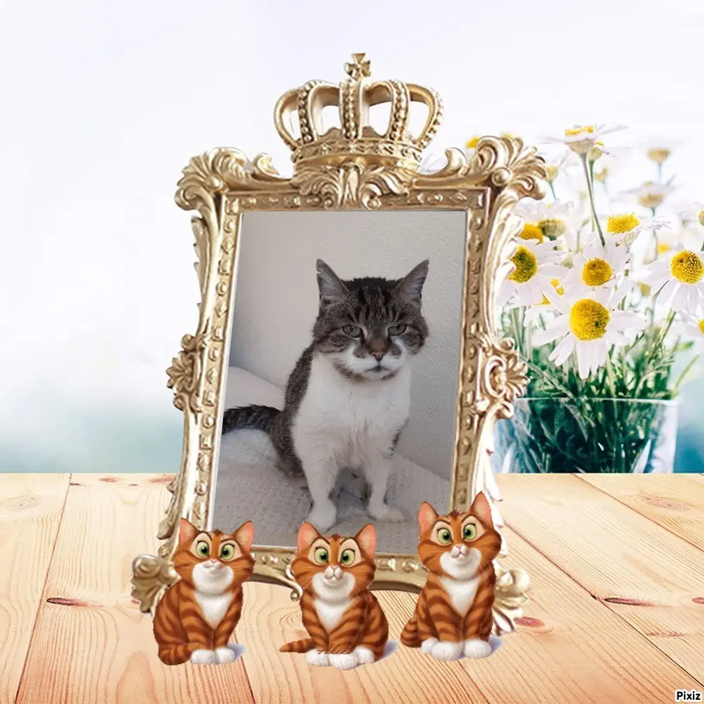 Condolence image of Sternchenpost ⭐