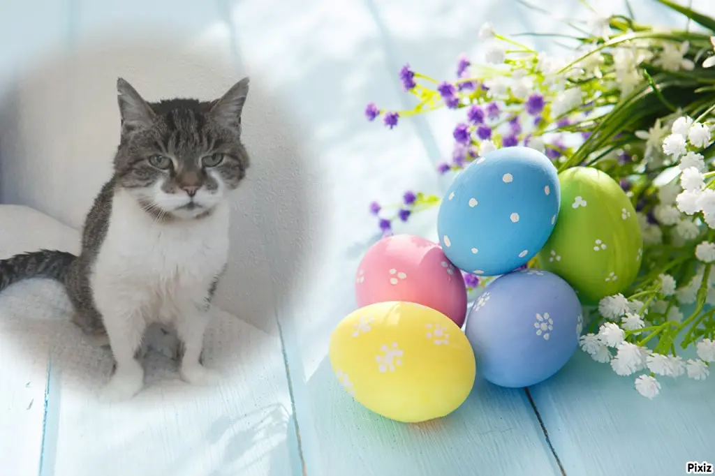 Condolence image of Tanja mit Timmy im Herzen 