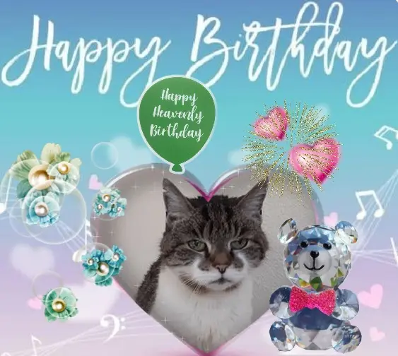 Condolence image of 25.Geburtstag❤️❤️❤️❤️❤️❤️❤️❤️❤️❤️❤️❤️❤️❤️❤️❤️❤️❤️❤️❤️❤️❤️❤️❤️❤️