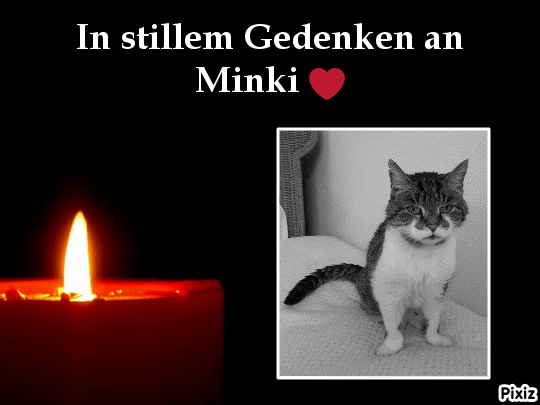 Condolence image of Tanja mit Timmy im Herzen 
