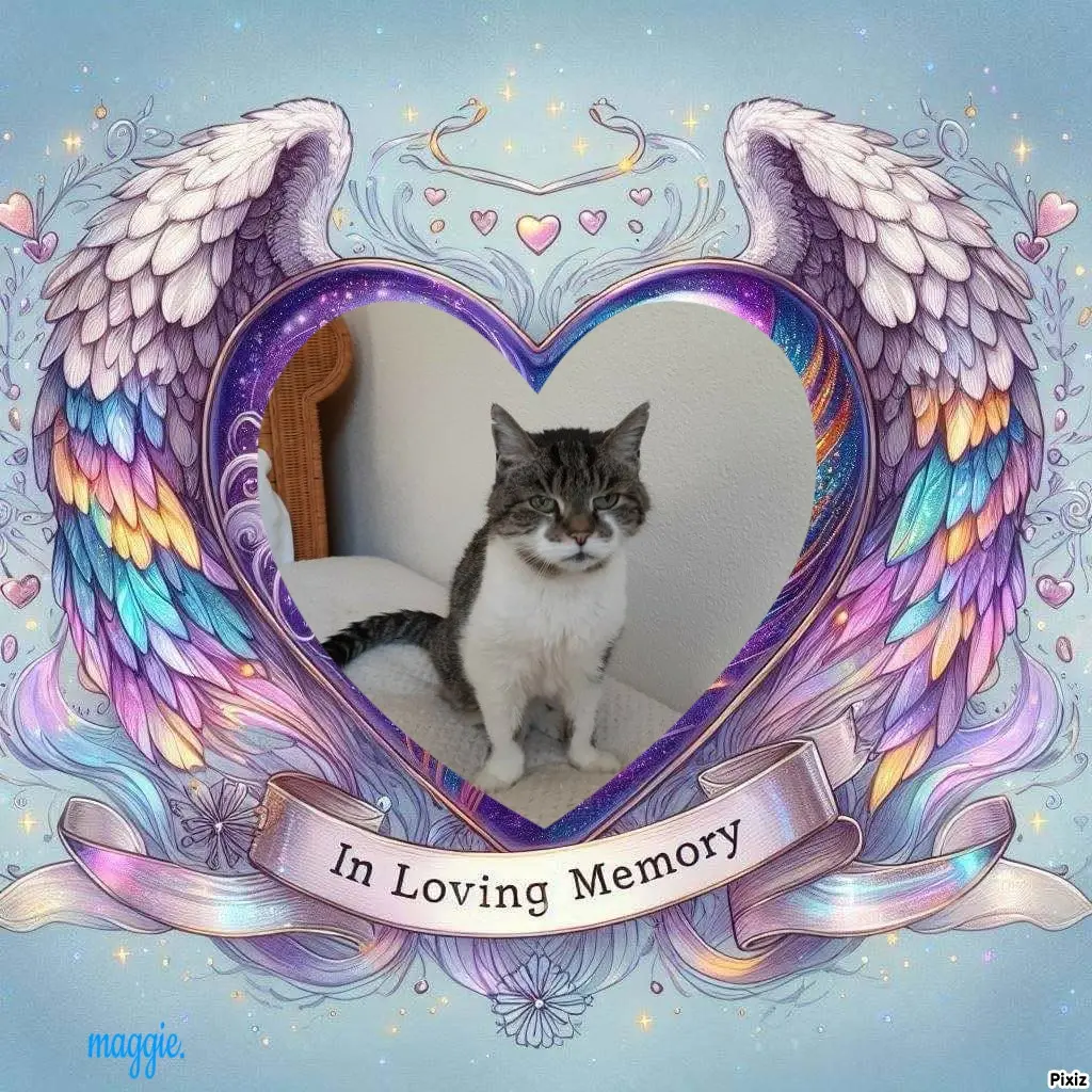 Condolence image of Tanja mit Timmy im Herzen 