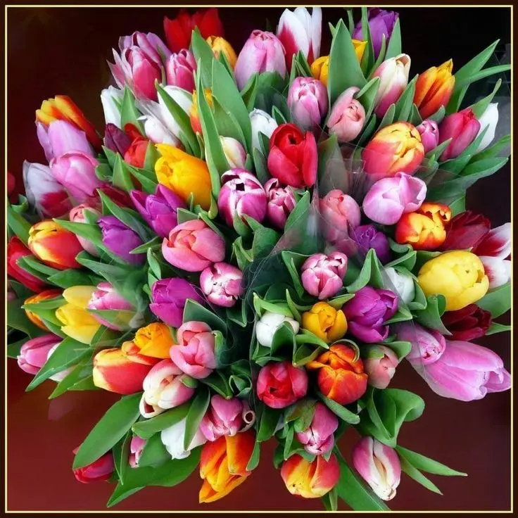 Image from Minki