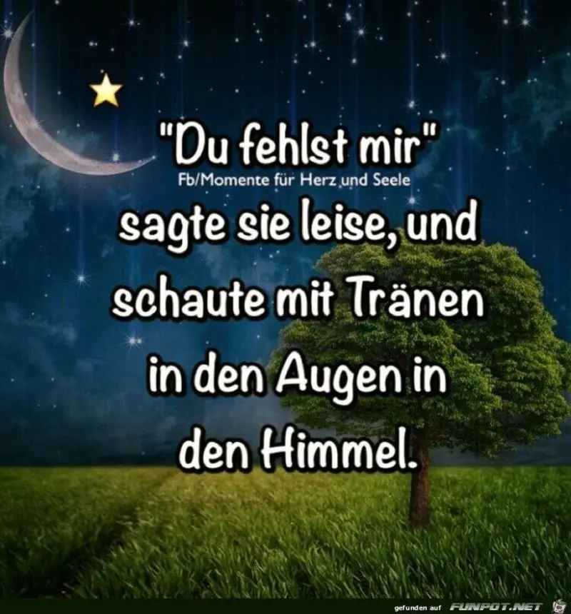 Condolence image of Katrin und Katzi im ❤️