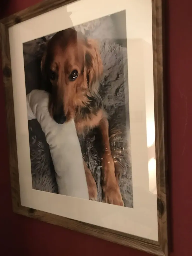 Condolence image of Michaela