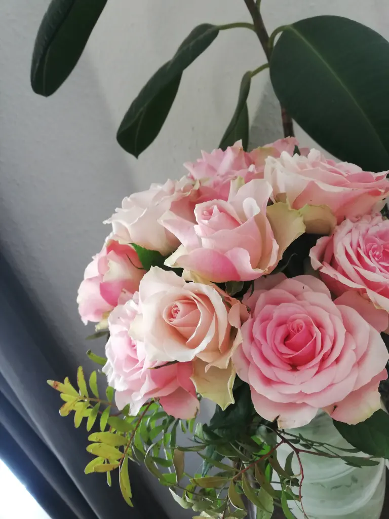 Condolence image of Unbekannt