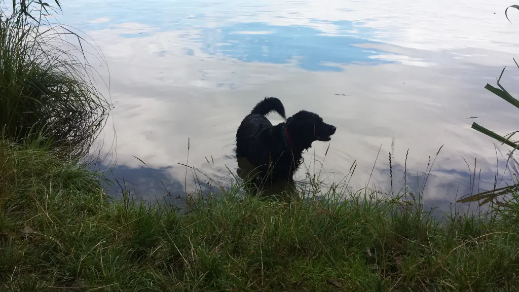 Image from Nelly