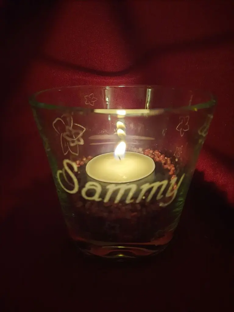 Image from Sammy