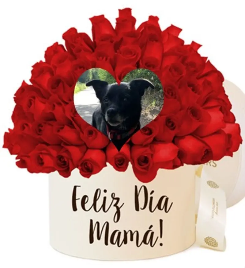 Condolence image of ❤️Mama❤️