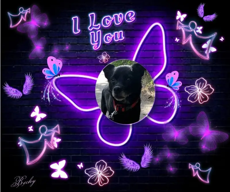 Condolence image of Dobrej Nocki❤️