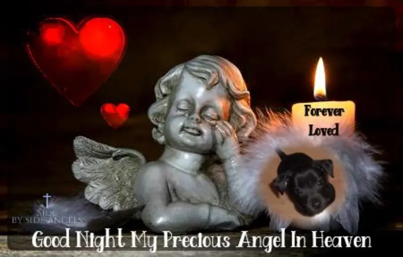 Condolence image of ❤️❤️❤️❤️❤️❤️❤️❤️❤️❤️❤️❤️❤️❤️