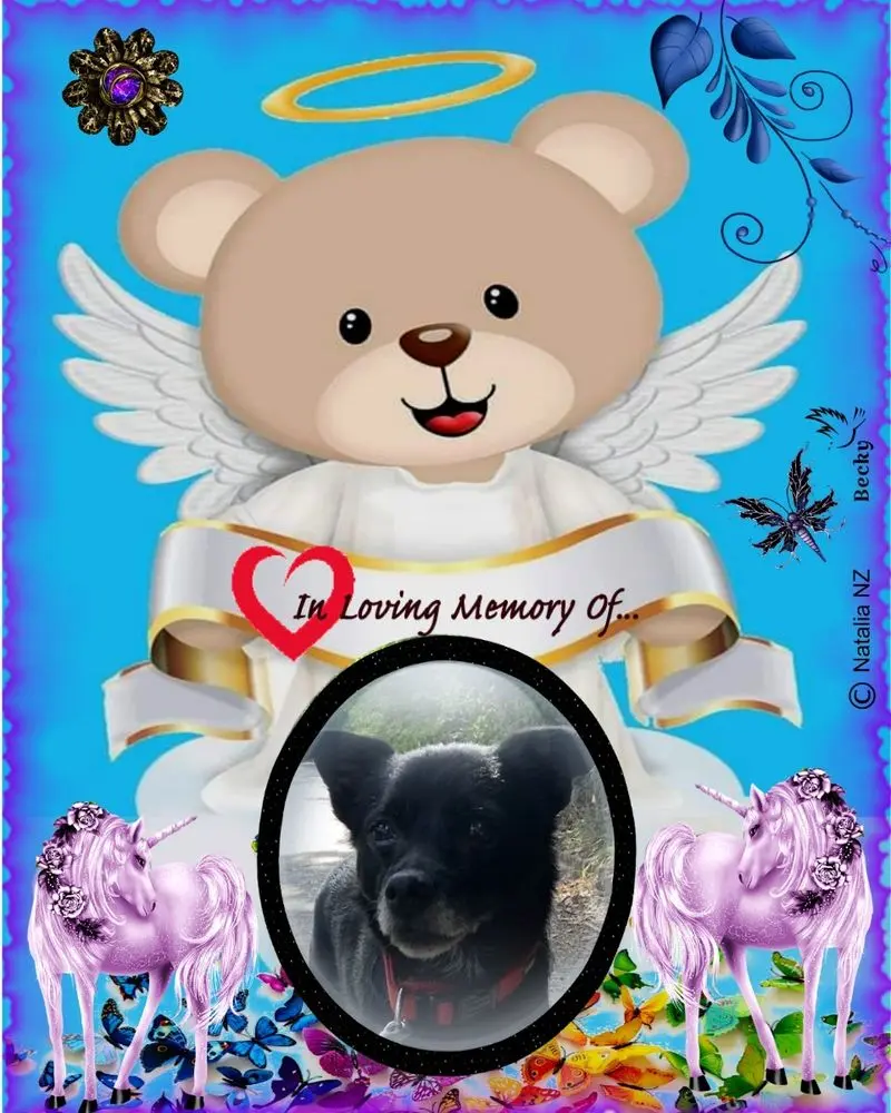Condolence image of Dobranoc❤️❤️❤️Misieńku❤️❤️❤️