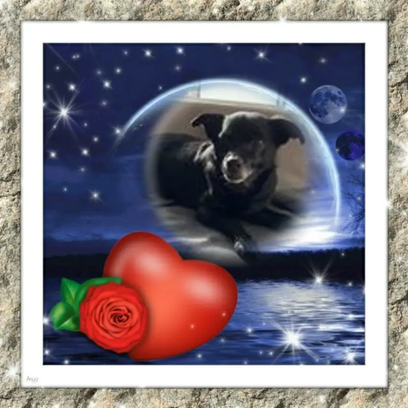 Condolence image of Dobrej Nocki❤️