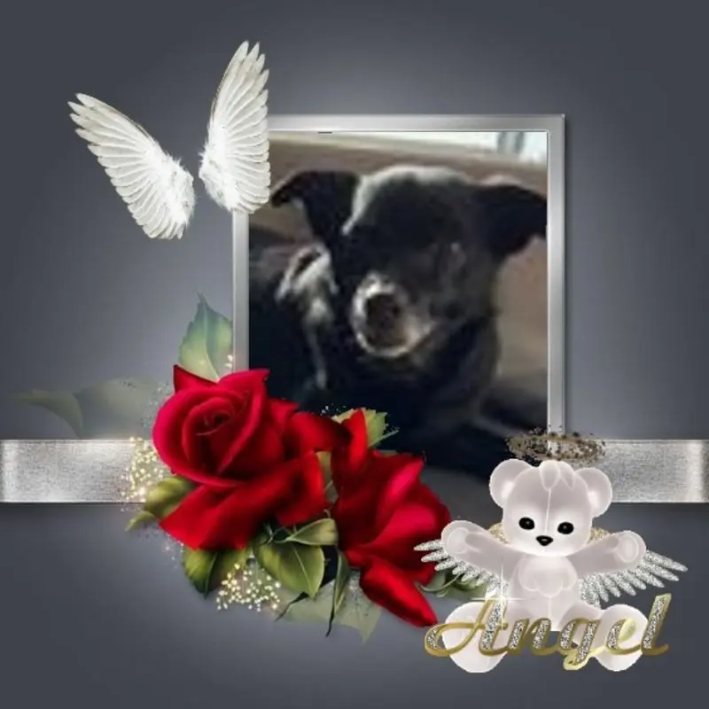 Condolence image of ❤️❤️❤️❤️❤️❤️❤️❤️❤️❤️❤️❤️❤️❤️