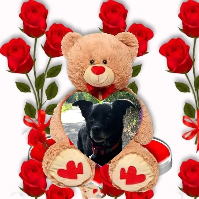 Condolence image of Dla Misiulka❤❤❤