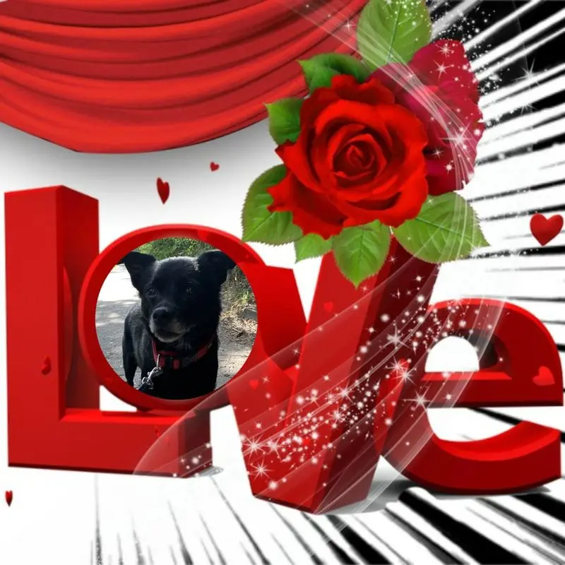 Condolence image of Dzień Dobry Misiu❤️