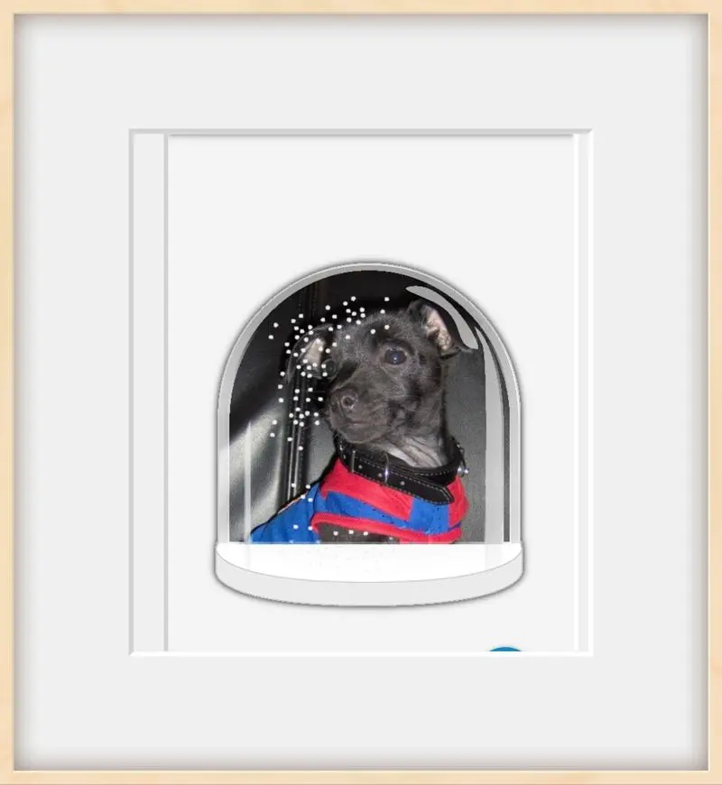 Condolence image of Gosia