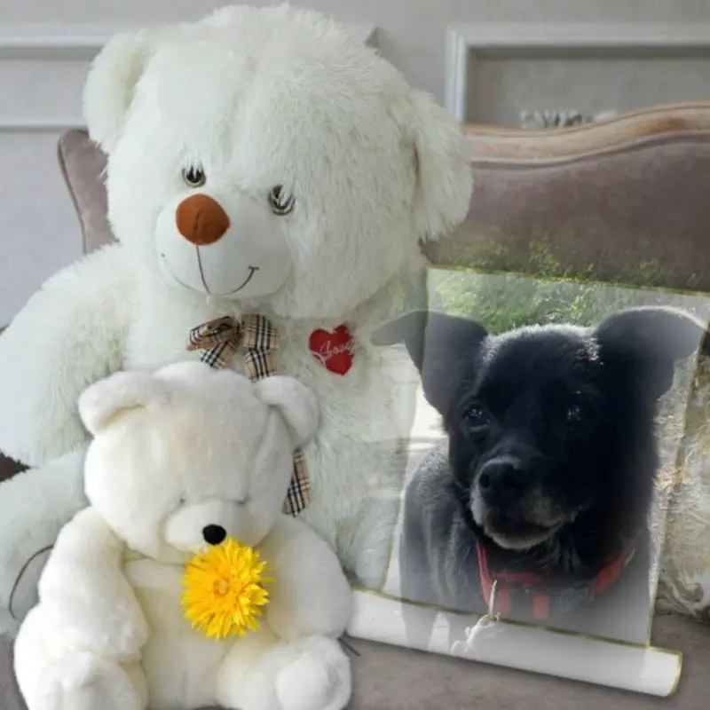 Condolence image of Dzień Dobry Misiu❤️