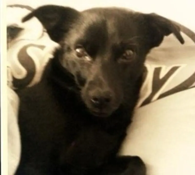 Condolence image of Gosia