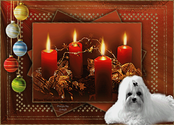 Condolence image of 4 Advent