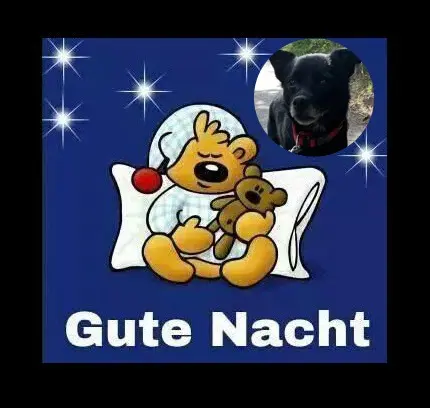 Condolence image of Dobrej Nocki❤️❤️❤️
