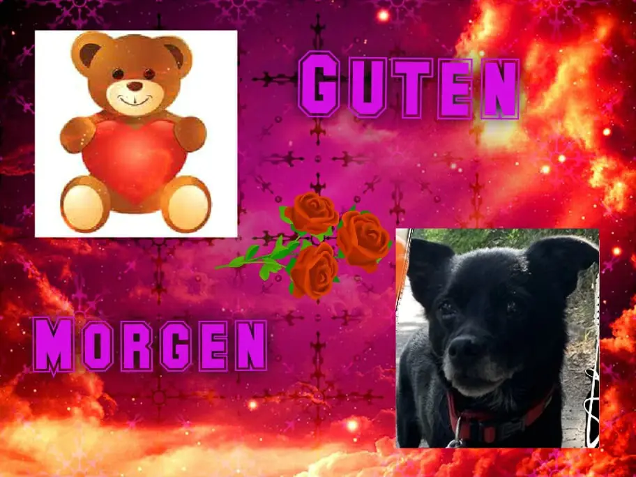 Condolence image of Dzień Dobry❤️❤️❤️Misiu❤️
