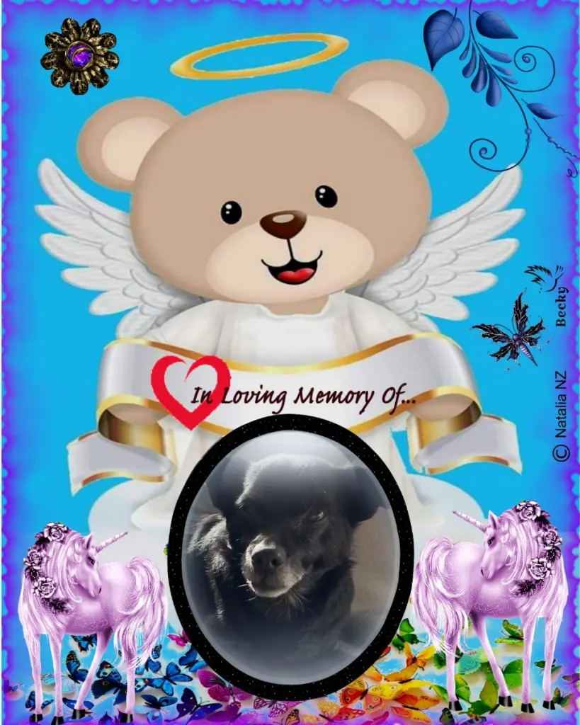 Condolence image of 1. Sternchen❤️Gedenktag❤️