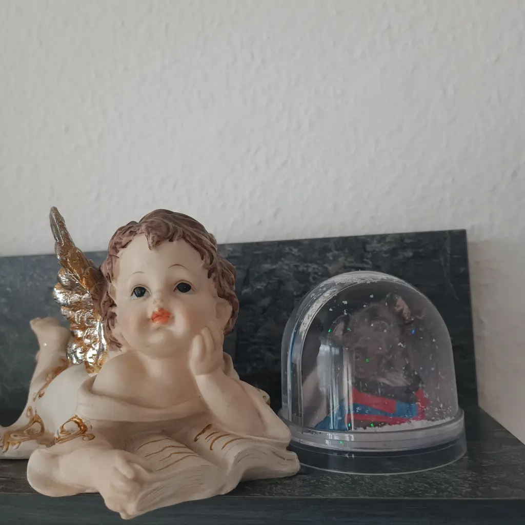 Condolence image of Gosia