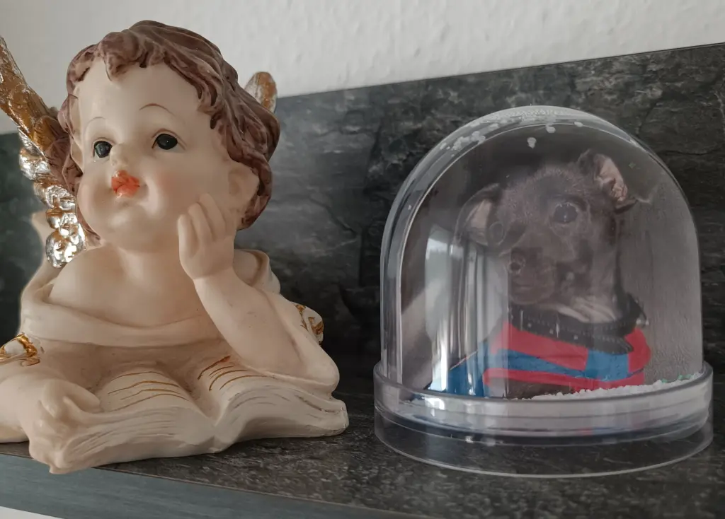Condolence image of Gosia