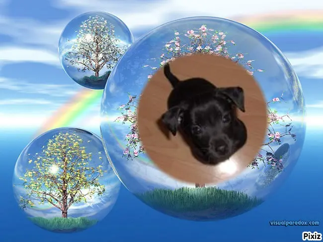 Condolence image of Dzień Dobry❤️❤️❤️Misiu❤️