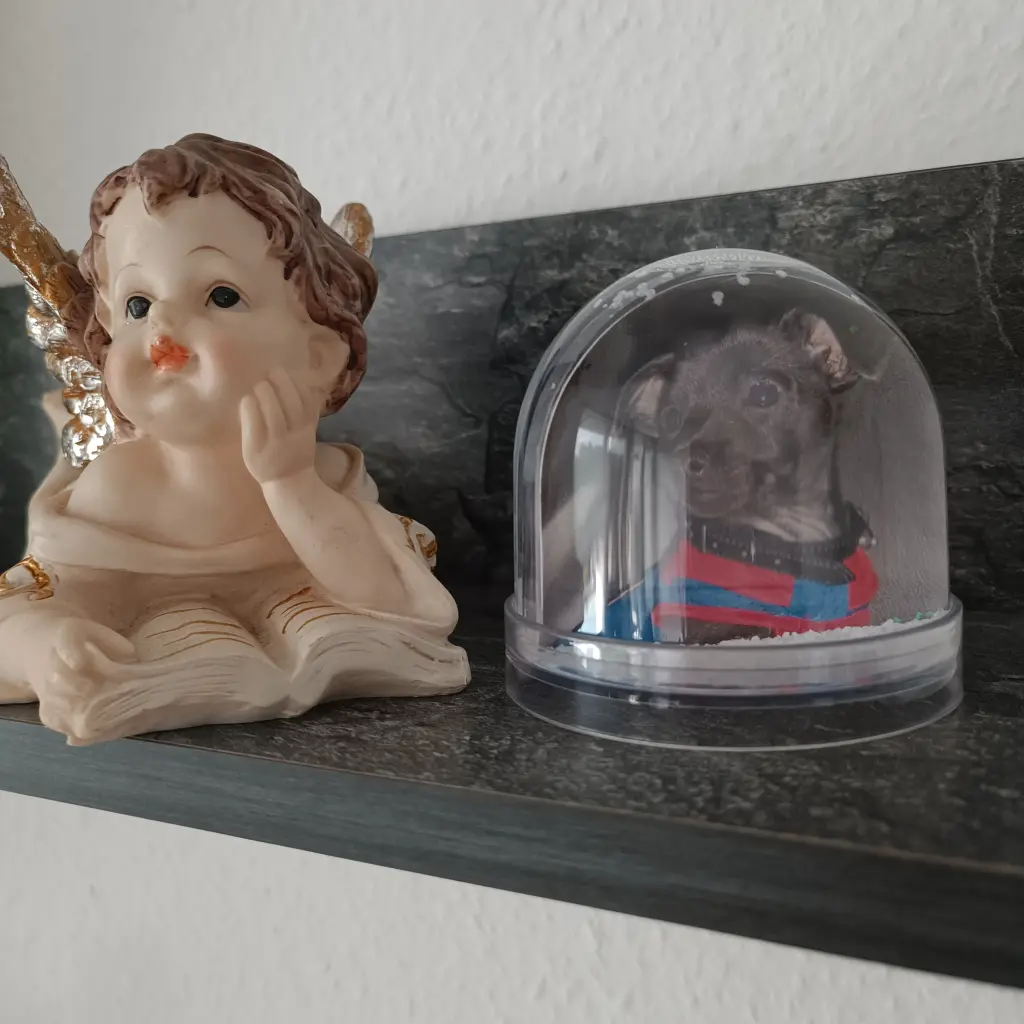 Condolence image of Gosia