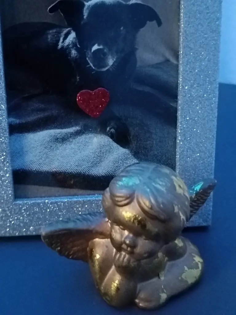 Condolence image of Gosia