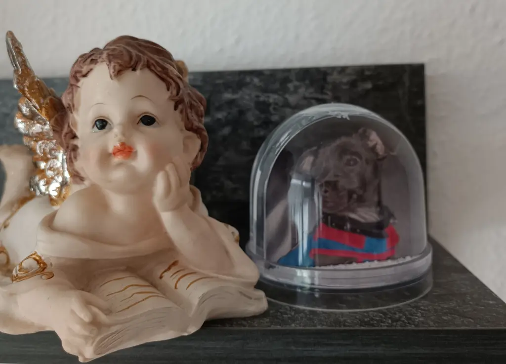 Condolence image of Gosia